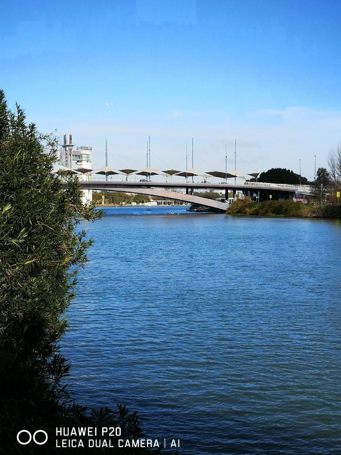 Triana Pura Esencia Lägenhet Sevilla Exteriör bild