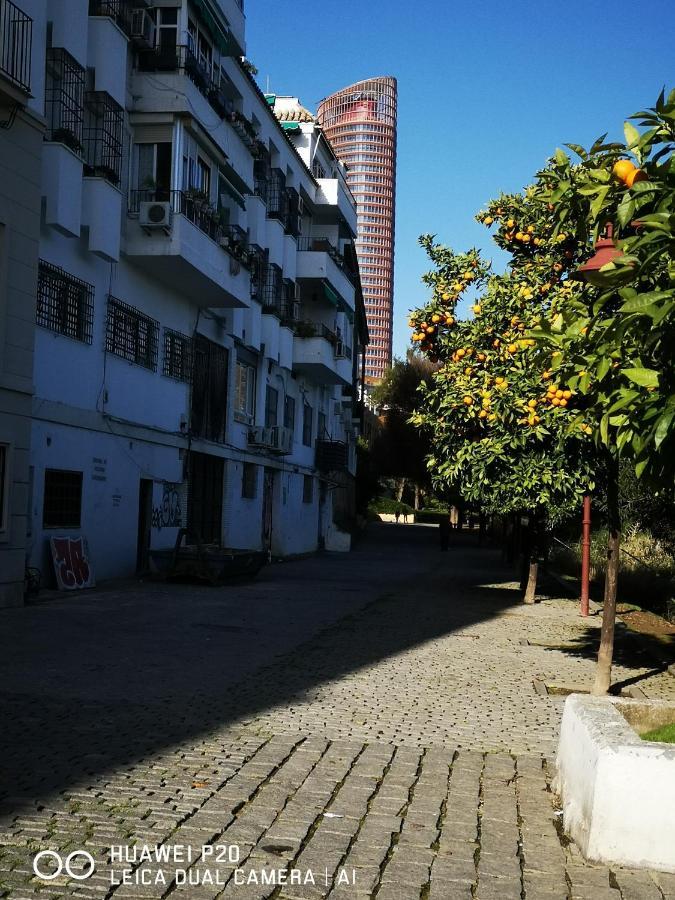 Triana Pura Esencia Lägenhet Sevilla Exteriör bild